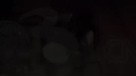 VIDEO Prietena interlopilor vrea să scape de arest. Femeia a cerut să fie pusă sub control judiciar